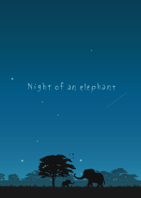 Night of an elephant