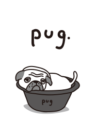 Mr.Pug , Stop nagging
