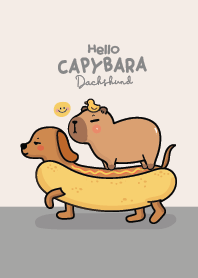 Capybara & Dachshund : Gray!