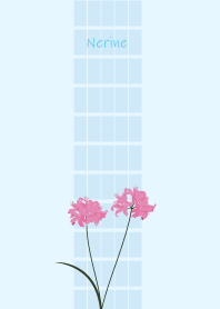 October's birth flower, Nerine