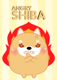 Angry Fat Shiba inu dog Theme