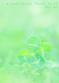 4-Leaf Clover Photo#4-20Not AI