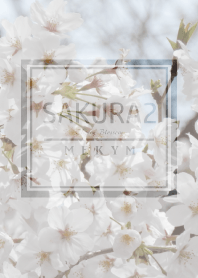 SAKURA2.