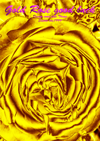 Gold Rose Good Luck2