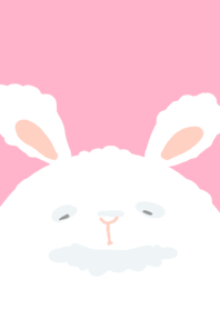 Rabbit white long