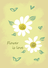 Flower series - lovely yellow daisies
