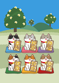 แมวนำโชคในป่า！(ซันนี่บลู)