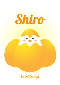 Shiro in Golden Egg