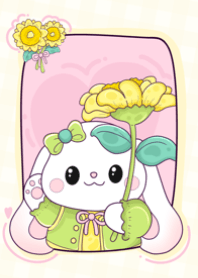 Sunflower & mimi