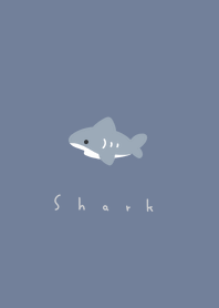 white belly shark /blue gray WH.