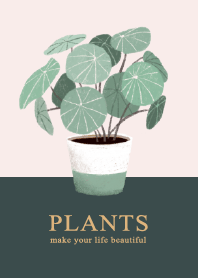 簡約植物系列(小圓葉)