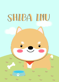 Cute Shiba Inu Dog Theme V.2
