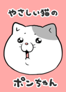 Gentle cat Pon-chan