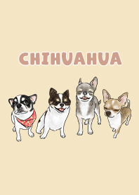 chihuahua3 - pale yellow