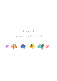 ちいさな熱帯魚。白