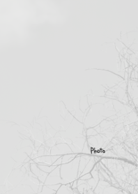 Black and white photography Theme 8