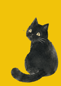 A unique cat01 yellow