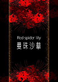 曼珠沙華～Red spider lily彼岸花～