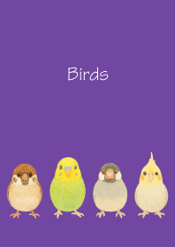 Birds on purple