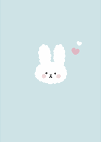 simple rabbit that is fluffy and cute2.