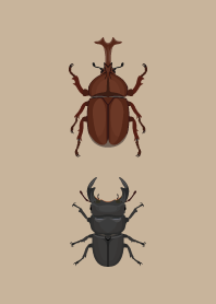 -Beetle & Dorcus hopei theme-