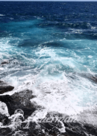 海が好き