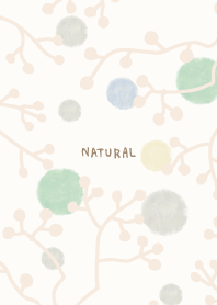 winter branch6 from Japan