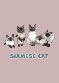siamesecats3 / rose pink