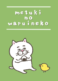 目付きの悪い猫【ピクニック】
