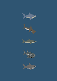 小小的鯊魚們(海洋藍)