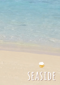 ริมทะเล เบียร์'สีน้ำตาล'