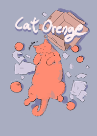 cat orange Maow Maow!