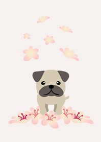 Pug - romantic flower
