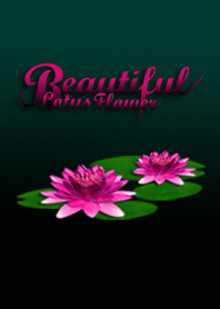 Beautiful Lotus Flower