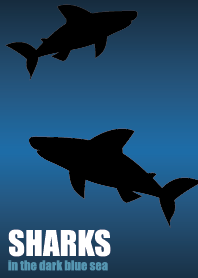SHARKS in the dark blue ocean
