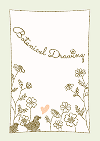 植物绘画/绿 14.v2