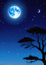 Moon Night Universe 25VoF