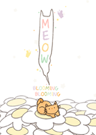 MEOW MEOW : Blooming Ginger cat