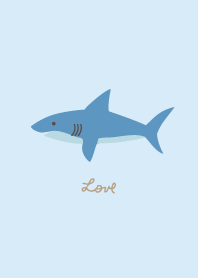 shark are my favorite3 from Japan