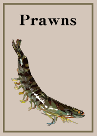 Prawns Special