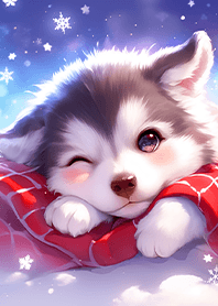 對你眨眼的哈士奇寶貝❤️