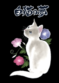 White cat's dream