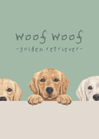 Golden retriever - DUSTY GREEN