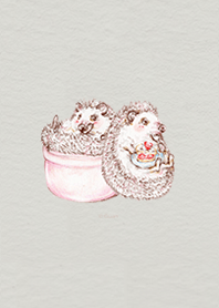 刺蝟日常-可愛篇