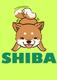 SHIBADOG