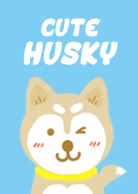 Cute Husky