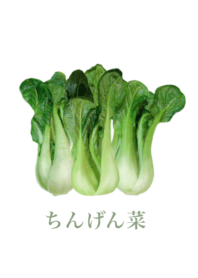 Bok choy 13