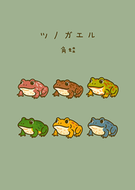 私のツノガエル(灰緑色)