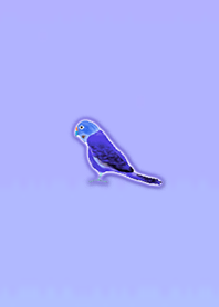 Simple lucky parakeet 5