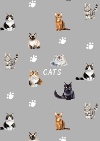 cat festival on white